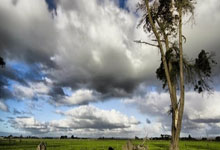 莱昂纳德27+10哈登29分 快船胜尼克斯.