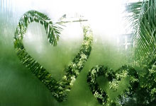 WELLBET官网：[图]强势卫冕！国乒混合团体世界杯全胜战绩夺冠.