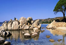 葡媒:哲凯赖什只考虑下赛季踢欧冠的球队,倾向阿森纳而非曼联.